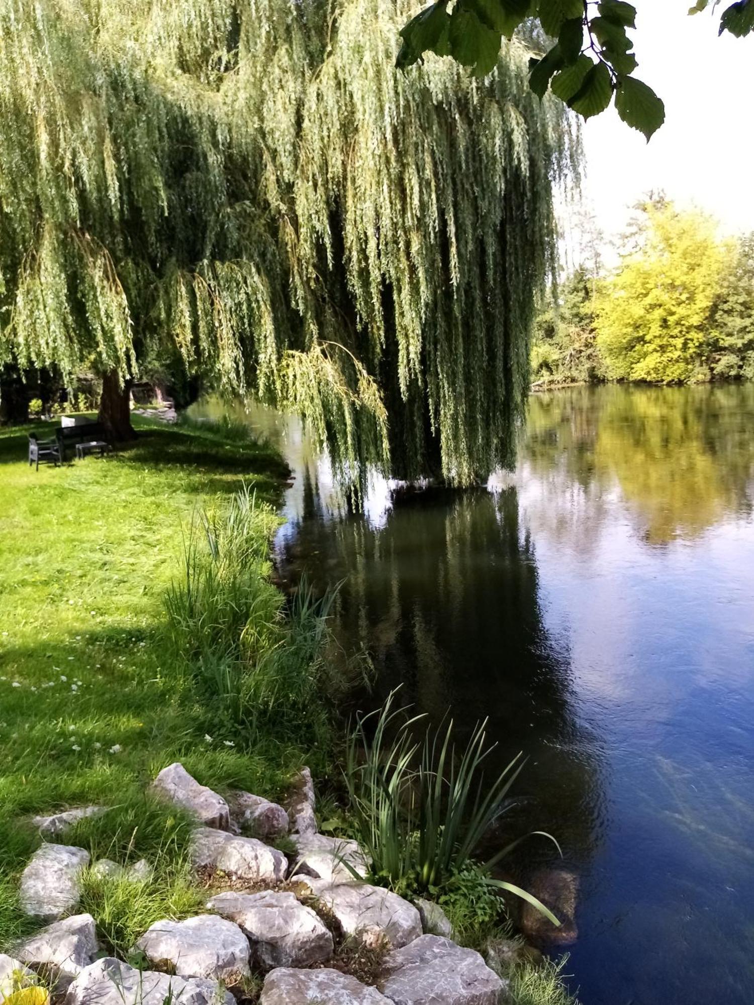 Havre De Paix Au Bords De L'Eure - Divers Hebergements Bed and Breakfast Garennes-sur-Eure Eksteriør billede